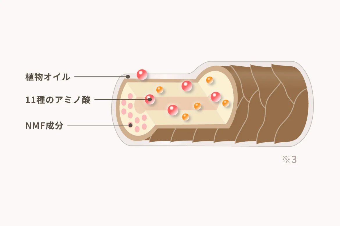 髪の内部に浸透する保湿成分のイメージ図