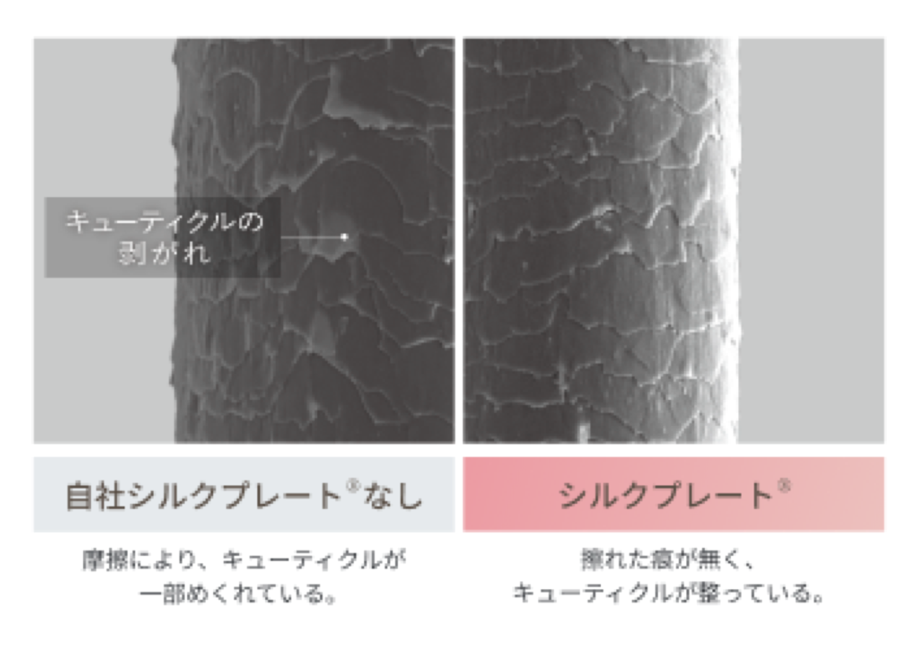 自社シルクプレートなしと、シルクプレートありの毛髪のキューティクル状態を電子顕微鏡で比較した図。シルクプレートありはキューティクルが整っている。
